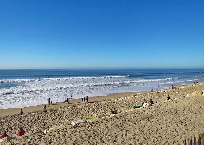 Les Helianthes-2 By Interhome